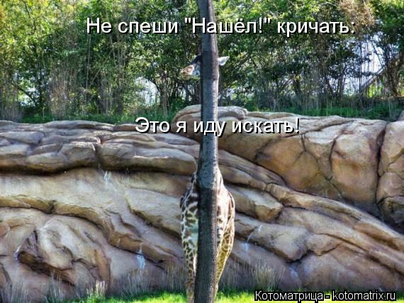 Не спеши "Нашёл!" кричать: Это я иду искать!... Котоматрица: Не спеши "Нашёл!" кричать: Это я иду искать!