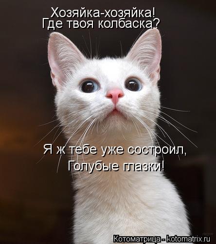 Котоматрица: Хозяйка-хозяйка! Где твоя колбаска? Я ж тебе уже состроил, Голубые глазки!