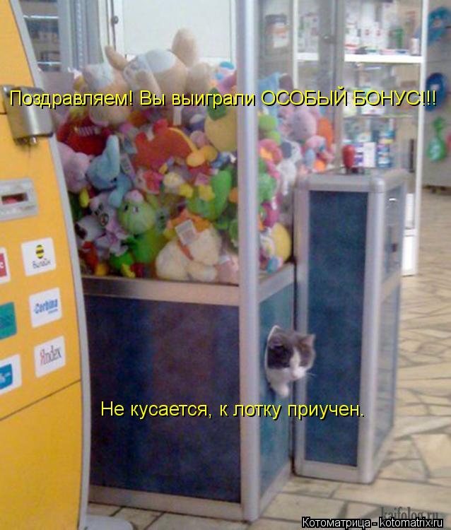 Поздравляем! Вы выиграли ОСОБЫЙ БОНУС!!! Не кусается, к лотку приучен.... Котоматрица: Поздравляем! Вы выиграли ОСОБЫЙ БОНУС!!! Не кусается, к лотку приучен.