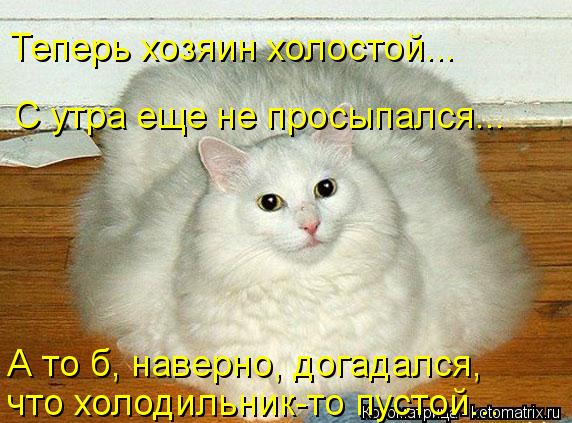 Теперь хозяин холостой... С утра еще не просыпался... А то б, наверно, догадался, что холодильник-то... Котоматрица: Теперь хозяин холостой... С утра еще не просыпался... А то б, наверно, догадался, что холодильник-то пустой...