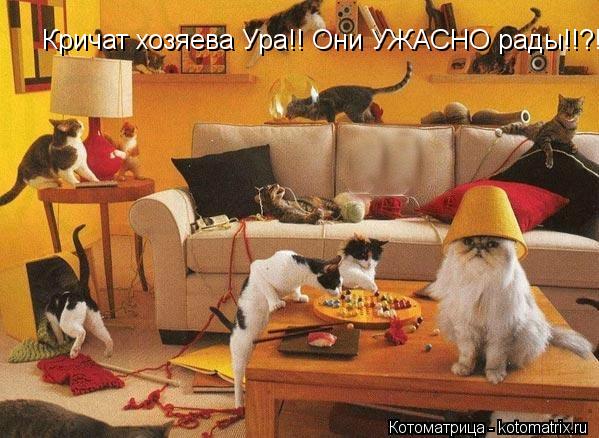Кричат хозяева Ура!! Они УЖАСНО рады!!?!!?... Котоматрица: Кричат хозяева Ура!! Они УЖАСНО рады!!?!!?