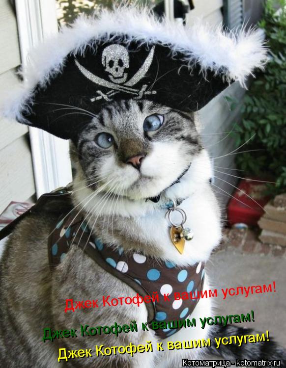 Джек Котофей к вашим услугам! Джек Котофей к вашим услугам! Джек Котофей к вашим услугам!... Котоматрица: Джек Котофей к вашим услугам! Джек Котофей к вашим услугам! Джек Котофей к вашим услугам!