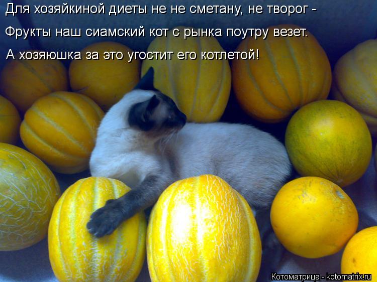 Фрукты наш сиамский кот с рынка поутру везет. А хозяюшка за это угостит его котлетой! Для хозяйкиной ... Котоматрица: Фрукты наш сиамский кот с рынка поутру везет. А хозяюшка за это угостит его котлетой! Для хозяйкиной диеты не не сметану, не творог -