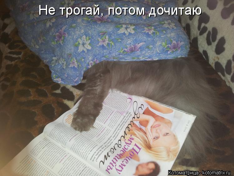 Не трогай, потом дочитаю... Котоматрица: Не трогай, потом дочитаю