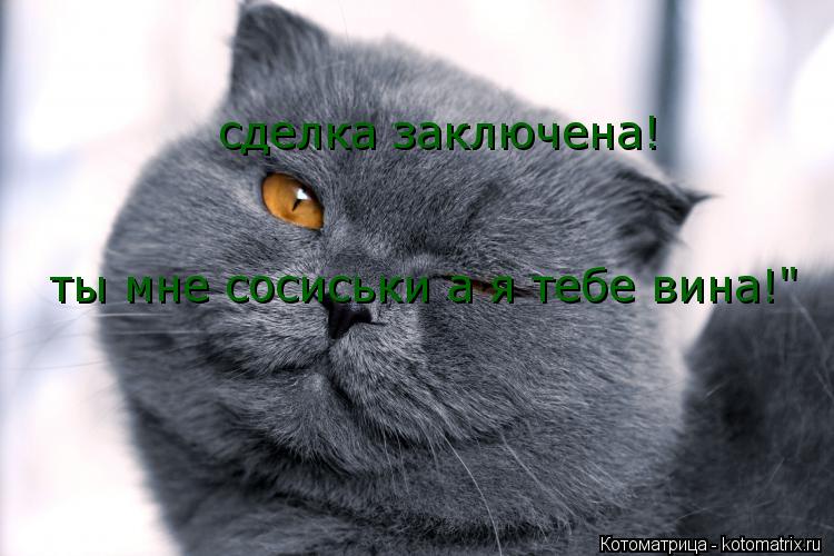 сделка заключена! ты мне сосиськи а я тебе вина!"... Котоматрица: сделка заключена! ты мне сосиськи а я тебе вина!"