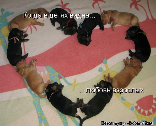 Котоматрица: Когда в детях видна... ...любовь взрослых