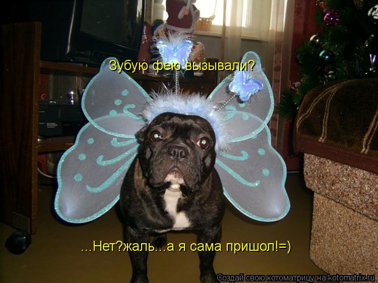 Котоматрица: Зубую фею вызывали? ...Нет?жаль...а я сама пришол!=)