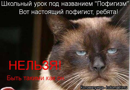 Котоматрица: Школьный урок под названием "Пофигизм" Вот настоящий пофигист, ребята! НЕЛЬЗЯ! Быть такими как он.