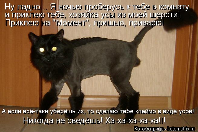 Ну ладно... Я ночью проберусь к тебе в комнату и приклею тебе, хозяйка усы из моей шерсти! Приклею на... Котоматрица: Ну ладно... Я ночью проберусь к тебе в комнату и приклею тебе, хозяйка усы из моей шерсти! Приклею на "Момент", пришью, приварю! А если всё-таки
