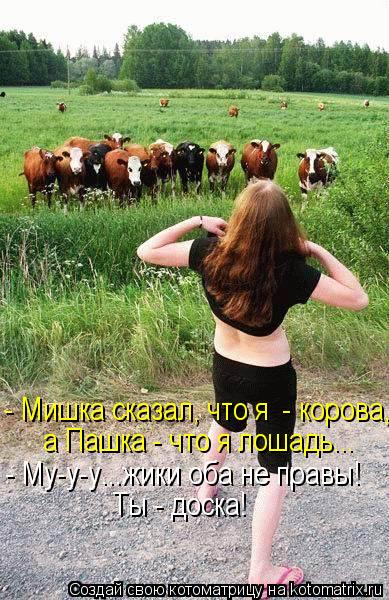 Котоматрица: - Мишка сказал, что я  - корова, а Пашка - что я лошадь... - Му-у-у...жики оба не правы! Ты - доска!