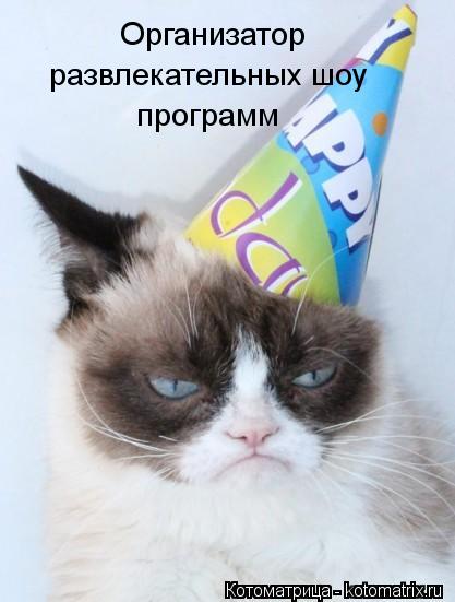 Организатор развлекательных шоу программ... Котоматрица: Организатор развлекательных шоу программ