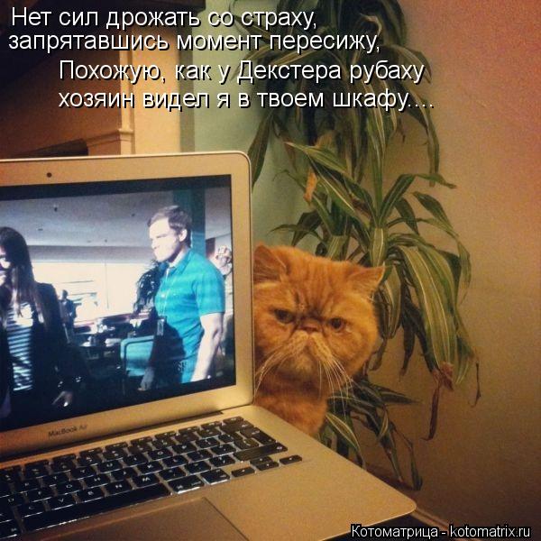 Котоматрица: Нет сил дрожать со страху,  запрятавшись момент пересижу, Похожую, как у Декстера рубаху хозяин видел я в твоем шкафу....