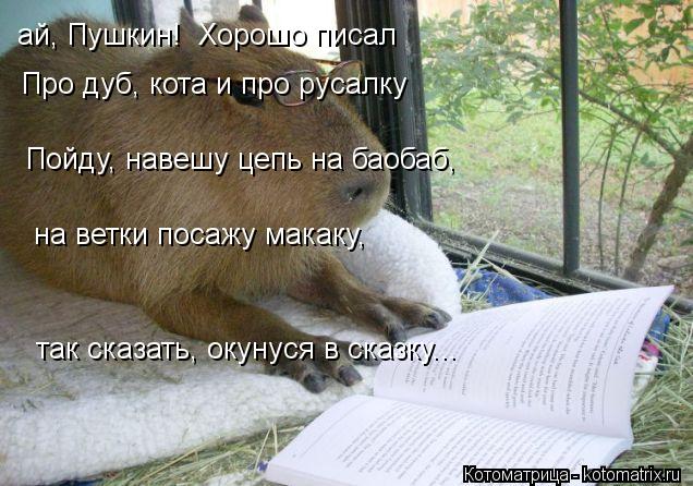 ай, Пушкин! Хорошо писал Про дуб, кота и про русалку Пойду, навешу цепь на баобаб, на ветки посажу м... Котоматрица: ай, Пушкин! Хорошо писал Про дуб, кота и про русалку Пойду, навешу цепь на баобаб, на ветки посажу макаку, так сказать, окунуся в сказку...