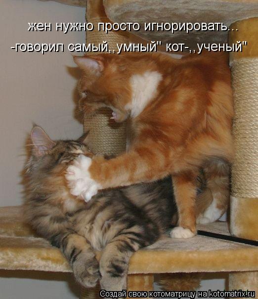 жен нужно просто игнорировать... -говорил самый,,умный" кот-,,ученый"... Котоматрица: жен нужно просто игнорировать... -говорил самый,,умный" кот-,,ученый"