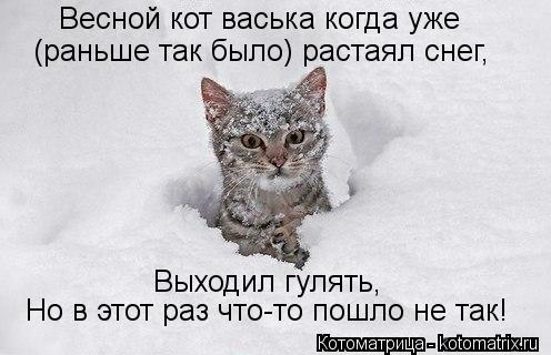 Котоматрица: Весной кот васька когда уже (раньше так было) растаял снег, Выходил гулять, Но в этот раз что-то пошло не так!