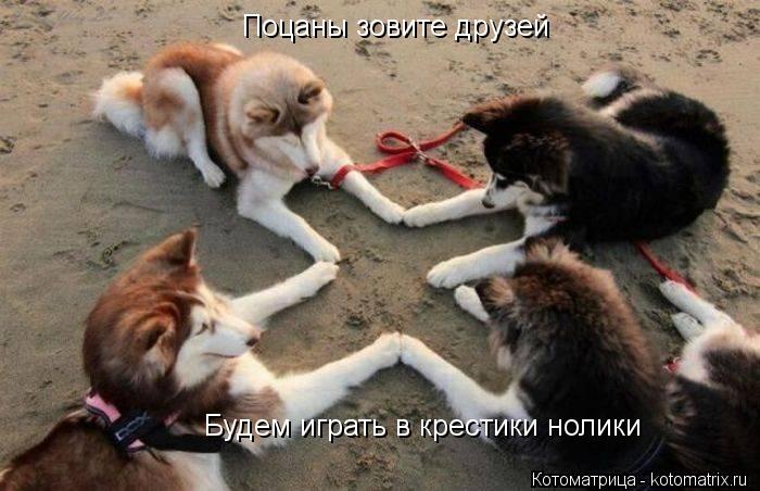 Поцаны зовите друзей Будем играть в крестики нолики... Котоматрица: Поцаны зовите друзей Будем играть в крестики нолики