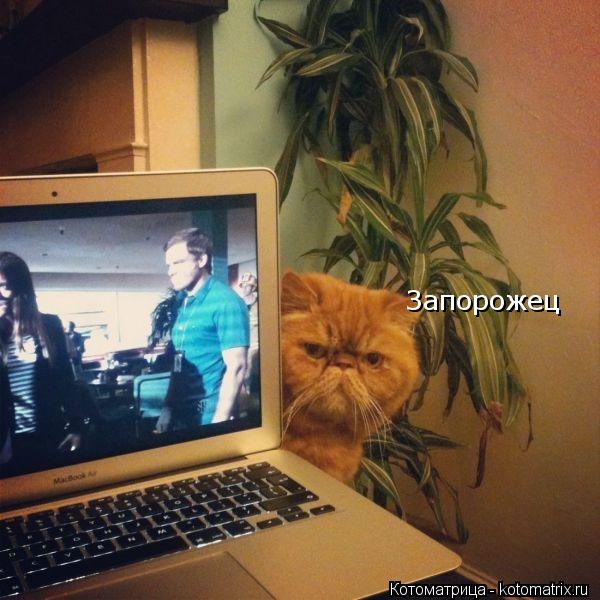 Запорожец... Котоматрица: Запорожец