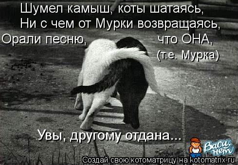 Шумел камыш, коты шатаясь, (т.е. Мурка) Увы, другому отдана... Ни с чем от Мурки возвращаясь, Орали п... Котоматрица: Шумел камыш, коты шатаясь, (т.е. Мурка) Увы, другому отдана... Ни с чем от Мурки возвращаясь, Орали песню, что ОНА,