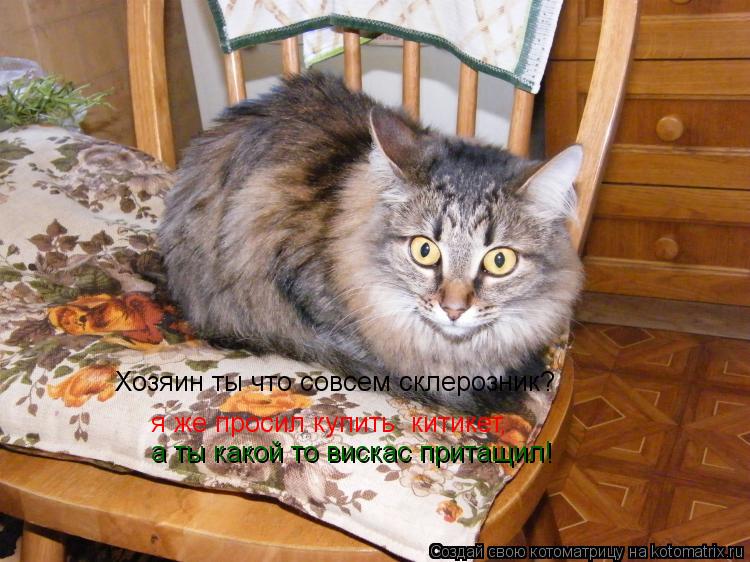Хозяин ты что совсем склерозник? я же просил купить китикет, а ты какой то вискас притащил!... Котоматрица: Хозяин ты что совсем склерозник? я же просил купить китикет, а ты какой то вискас притащил!