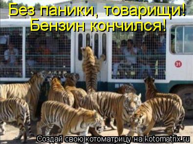 Без паники, товарищи! Бензин кончился!... Котоматрица: Без паники, товарищи! Бензин кончился!