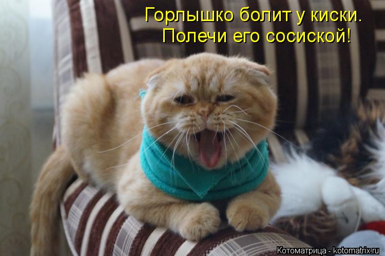 Горлышко болит у киски. Полечи его сосиской!... Котоматрица: Горлышко болит у киски. Полечи его сосиской!