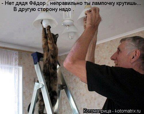 - Нет дядя Фёдор , неправильно ты лампочку крутишь... В другую сторону надо .... Котоматрица: - Нет дядя Фёдор , неправильно ты лампочку крутишь... В другую сторону надо .