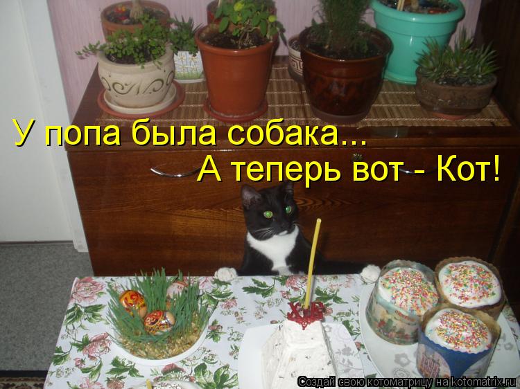 У попа была собака... А теперь вот - Кот!... Котоматрица: У попа была собака... А теперь вот - Кот!