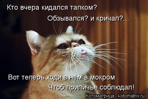 Кто вчера кидался тапком? Обзывался? и кричал?... Вот теперь ходи в нём в мокром Чтоб приличье соблюд... Котоматрица: Кто вчера кидался тапком? Обзывался? и кричал?... Вот теперь ходи в нём в мокром Чтоб приличье соблюдал!