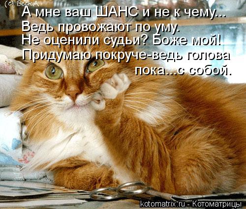 Котоматрица: А мне ваш ШАНС и не к чему... Ведь провожают по уму. Не оценили судьи? Боже мой! Придумаю покруче-ведь голова  пока...с собой.