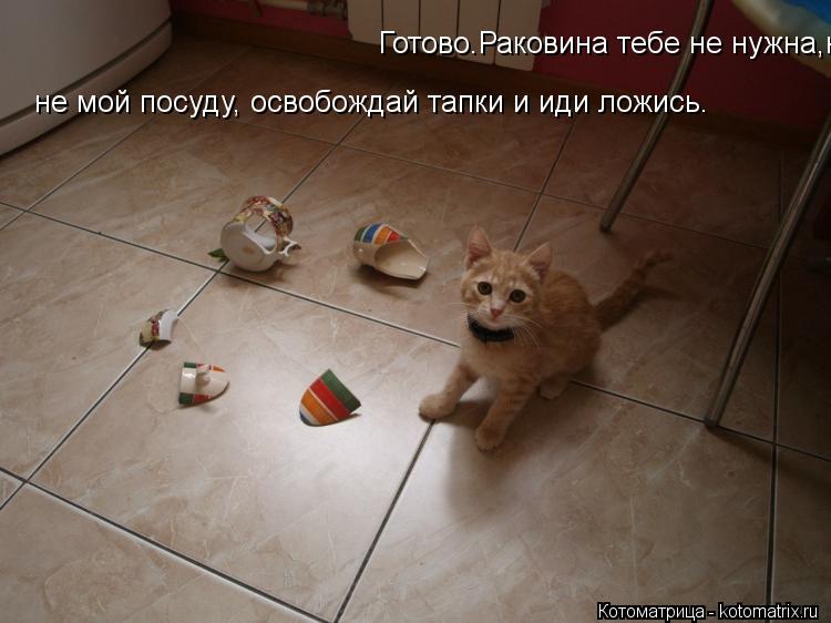 Готово.Раковина тебе не нужна,не мой посуду, освобождай тапки и иди ложись. не мой посуду, освобождай... Котоматрица: Готово.Раковина тебе не нужна,не мой посуду, освобождай тапки и иди ложись. не мой посуду, освобождай тапки и иди ложись.