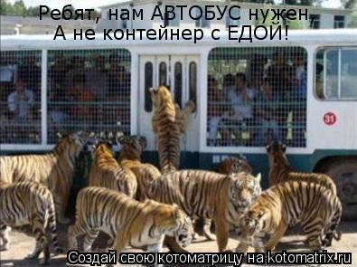 Ребят, нам АВТОБУС нужен, А не контейнер с ЕДОЙ!... Котоматрица: Ребят, нам АВТОБУС нужен, А не контейнер с ЕДОЙ!