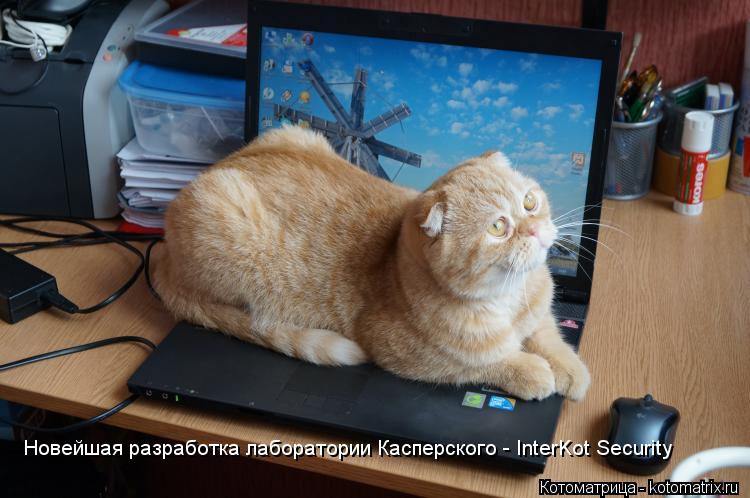 Новейшая разработка лаборатории Касперского - InterKot Security... Котоматрица: Новейшая разработка лаборатории Касперского - InterKot Security