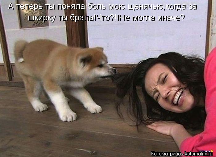 А теперь ты поняла боль мою щенячью,когда за шкирку ты брала!Что?!!Не могла иначе?... Котоматрица: А теперь ты поняла боль мою щенячью,когда за шкирку ты брала!Что?!!Не могла иначе?