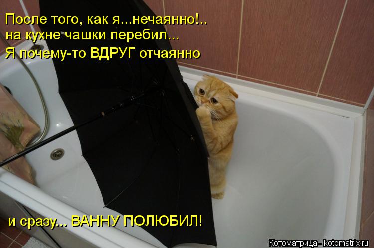 Котоматрица: После того, как я...нечаянно!.. на кухне чашки перебил... Я почему-то ВДРУГ отчаянно и сразу... ВАННУ ПОЛЮБИЛ!