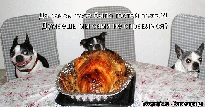 Котоматрица: Да зачем тебе было гостей звать?! Думаешь мы сами не справимся?