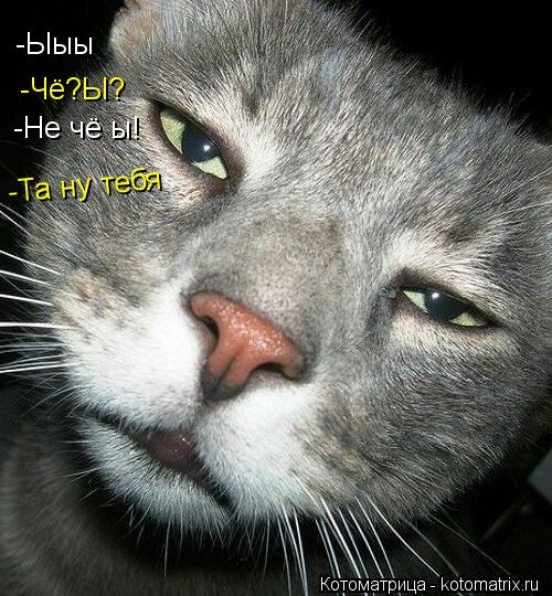 -Ыыы -Чё?Ы? -Не чё ы! -Та ну тебя... Котоматрица: -Ыыы -Чё?Ы? -Не чё ы! -Та ну тебя
