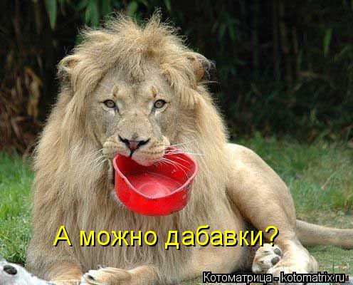 А можно дабавки?... Котоматрица: А можно дабавки?