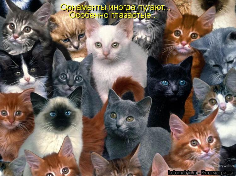 Орнаменты иногда пугают... Особенно глазастые...... Котоматрица: Орнаменты иногда пугают... Особенно глазастые...