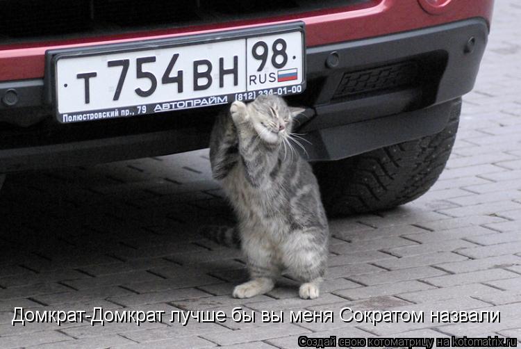 Котоматрица: Домкрат-Домкрат лучше бы вы меня Сократом назвали