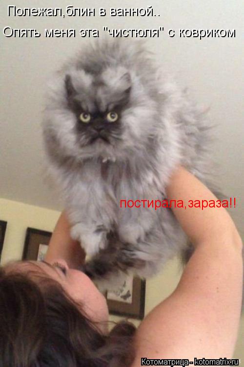 Котоматрица: Полежал,блин в ванной.. Опять меня эта "чистюля" с ковриком постирала,зараза!!