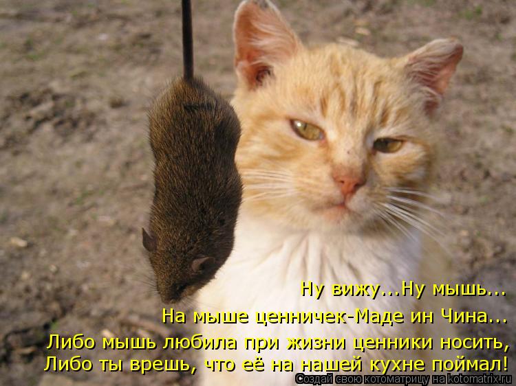 Ну вижу...Ну мышь... На мыше ценничек-Маде ин Чина... Либо мышь любила при жизни ценники носить, Либо... Котоматрица: Ну вижу...Ну мышь... На мыше ценничек-Маде ин Чина... Либо мышь любила при жизни ценники носить, Либо ты врешь, что её на нашей кухне поймал!