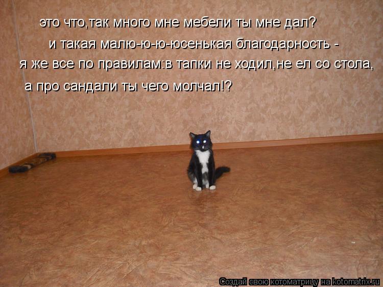 это что,так много мне мебели ты мне дал? и такая малю-ю-ю-юсенькая благодарность - я же все по правил... Котоматрица: это что,так много мне мебели ты мне дал? и такая малю-ю-ю-юсенькая благодарность - я же все по правилам:в тапки не ходил,не ел со стола, а про са