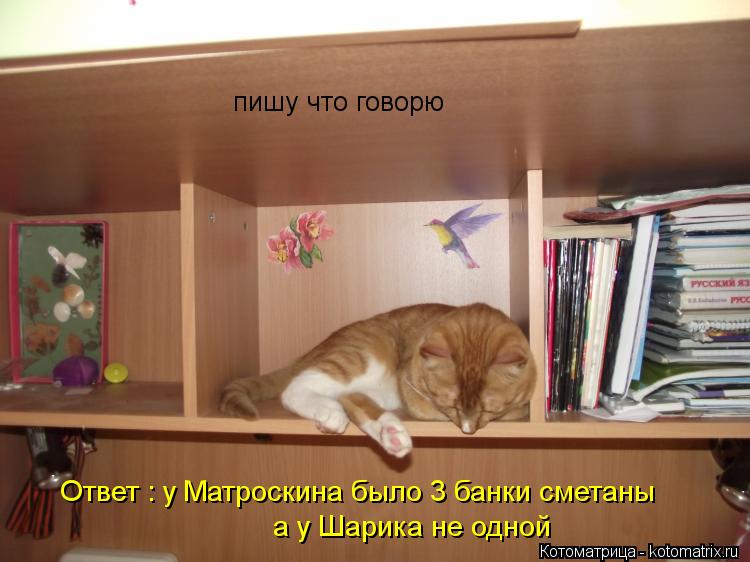 Котоматрица: пишу что говорю Ответ : у Матроскина было 3 банки сметаны а у Шарика не одной
