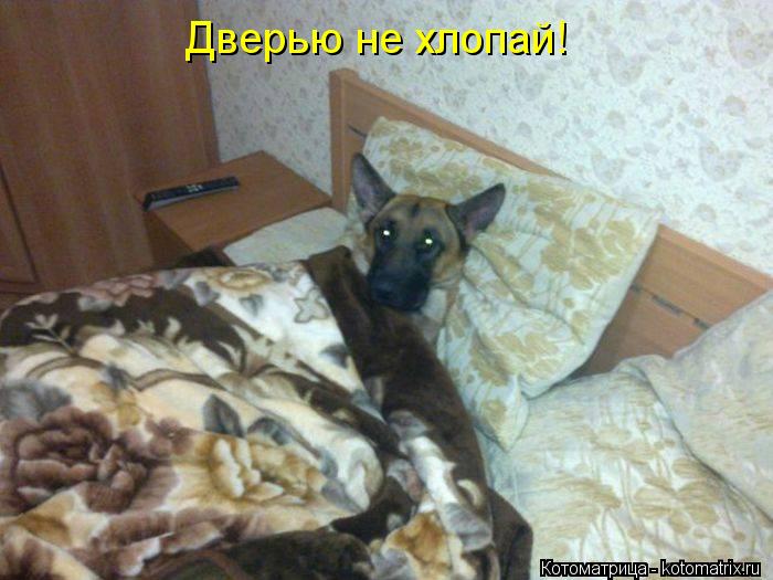Дверью не хлопай!... Котоматрица: Дверью не хлопай!