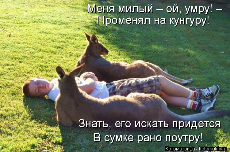 http://kotomatrix.ru/images/lolz/2013/04/06/kotomatritsa_ke.jpg