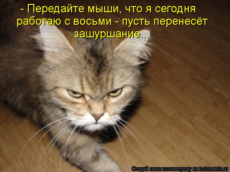 Котоматрица: - Передайте мыши, что я сегодня работаю с восьми - пусть перенесёт зашуршание...