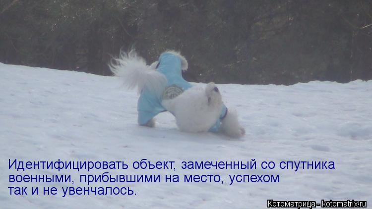 Идентифицировать объект, замеченный со спутника военными, прибывшими на место, успехом так и не увенч... Котоматрица: Идентифицировать объект, замеченный со спутника военными, прибывшими на место, успехом так и не увенчалось.