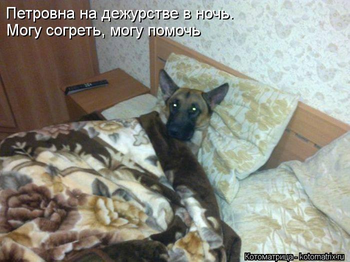 Петровна на дежурстве в ночь. Могу согреть, могу помочь... Котоматрица: Петровна на дежурстве в ночь. Могу согреть, могу помочь