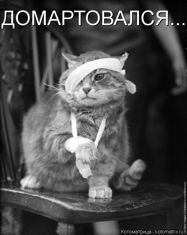 ДОМАРТОВАЛСЯ...... Котоматрица: ДОМАРТОВАЛСЯ...