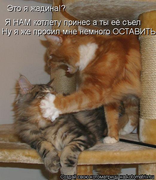 Я НАМ котлету принес а ты её съел Ну я же просил мне немного ОСТАВИТЬ Это я жадина!?... Котоматрица: Я НАМ котлету принес а ты её съел Ну я же просил мне немного ОСТАВИТЬ Это я жадина!?